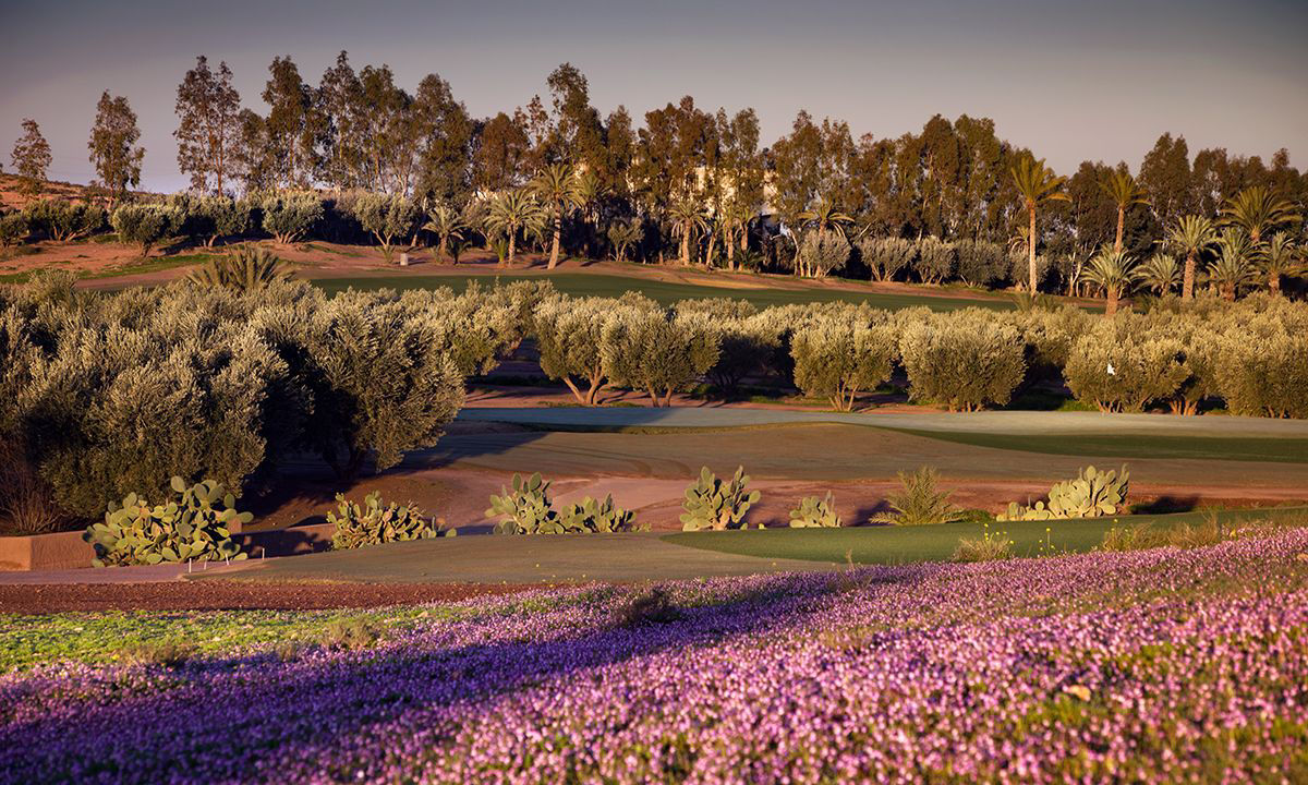 Golfing in Marrakesch