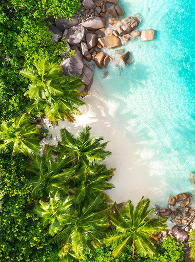 Bird view from Beach