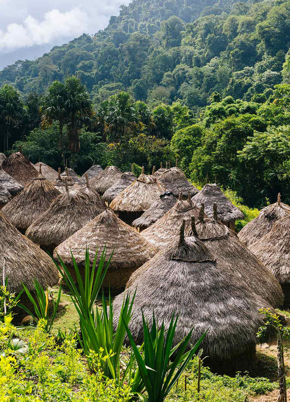 Tayrona Cottages