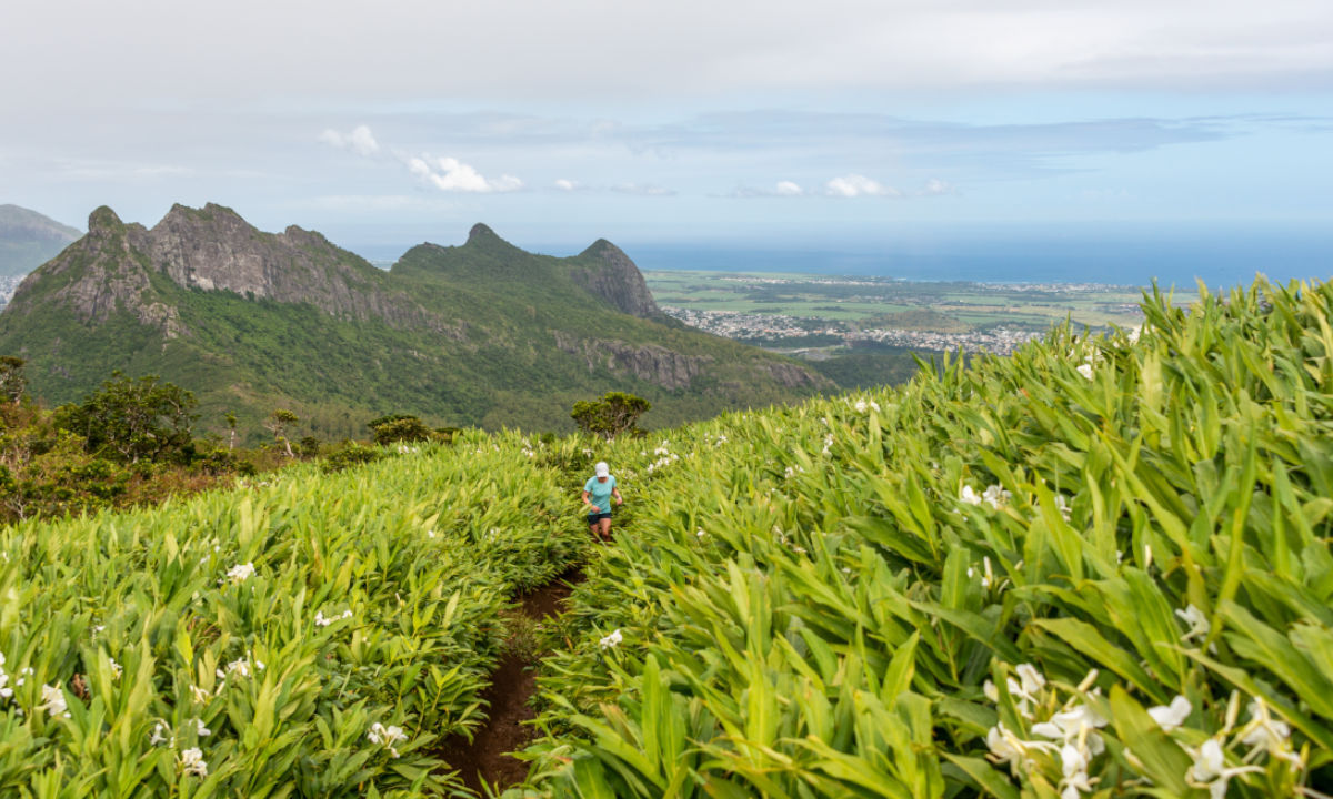Wandern Mauritius Le Pouce Aussicht