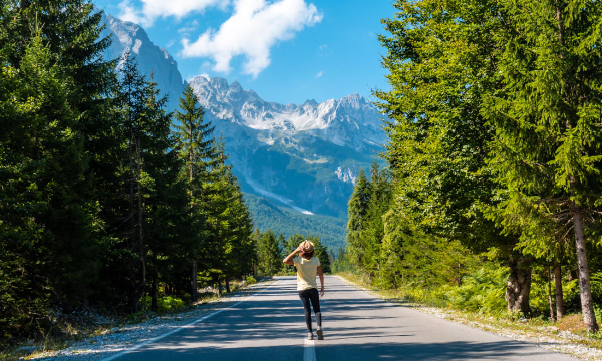 Wandern Pristina Waldweg Gebirge 