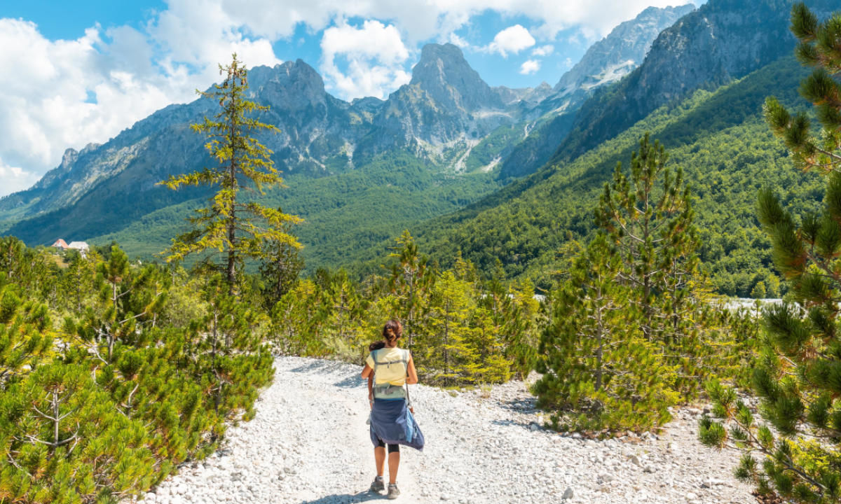 Wandern Pristina Maja Rosit Wald Wanderweg Gebirge