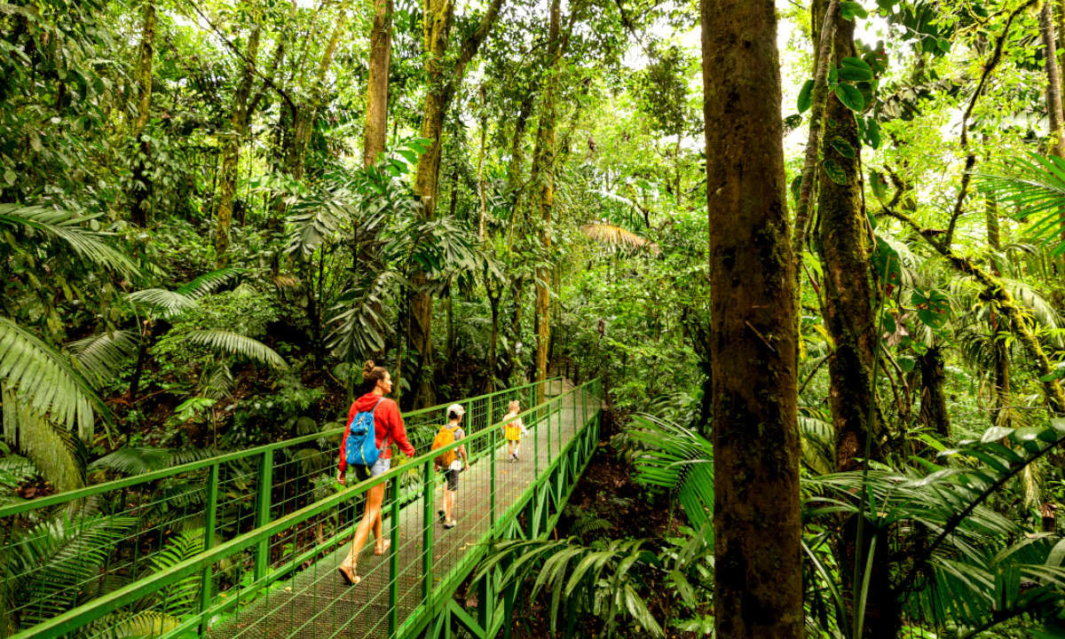 Wandern Costa Rica Familie Jungle