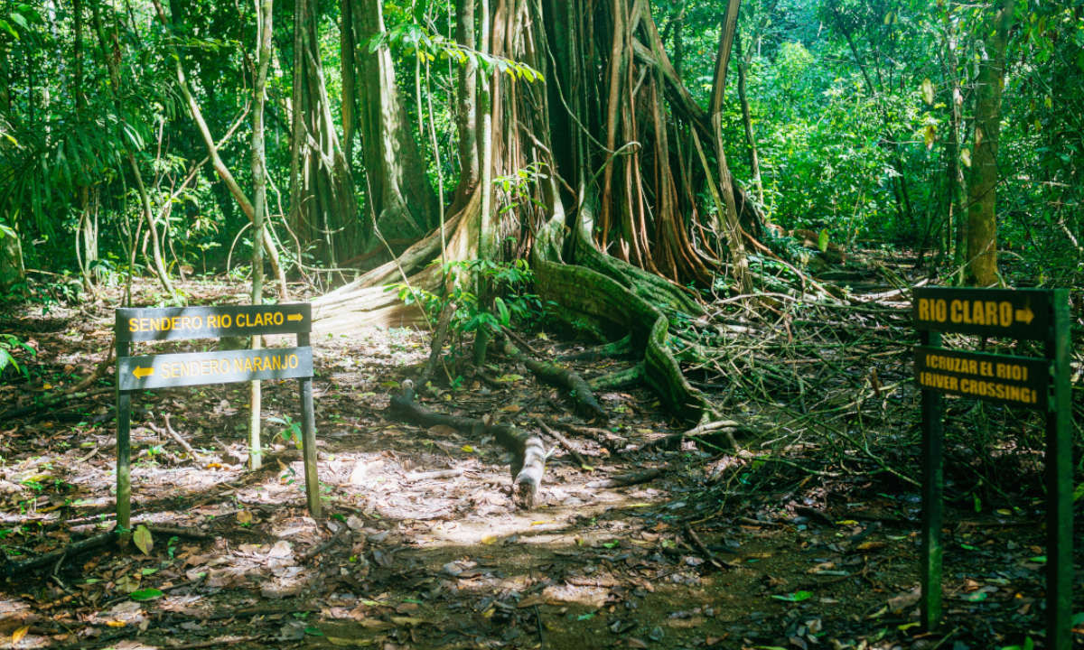 Wandern Costa Rica Corcovado Jungle