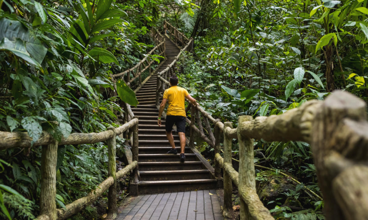 Wandern Costa Rica Jungle Treppe