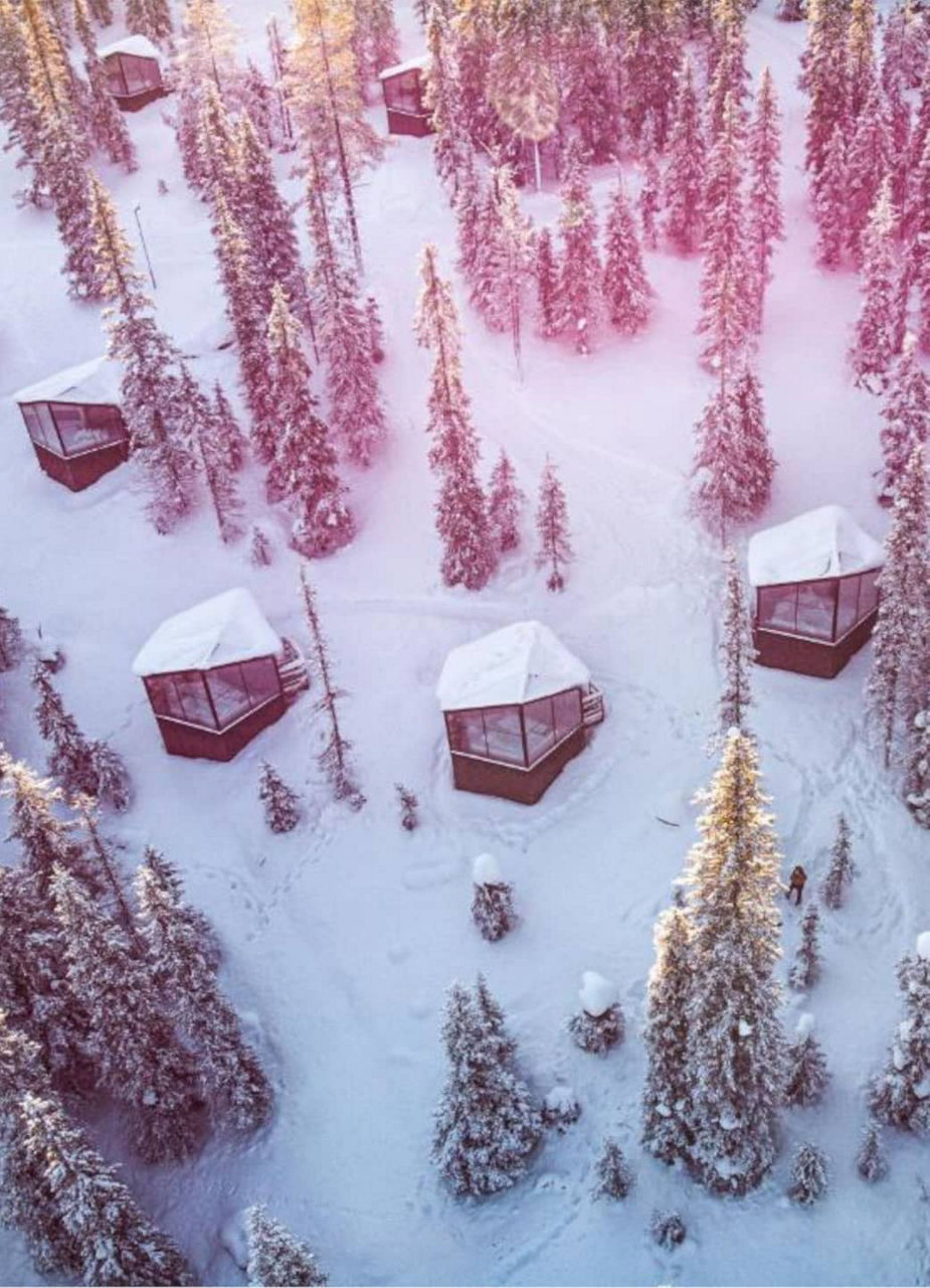 Snowy Igloos