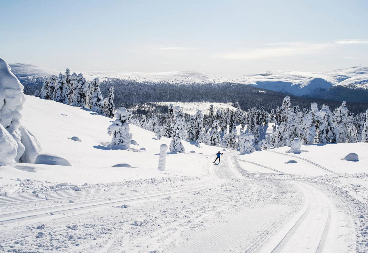 Ivalo Loipen