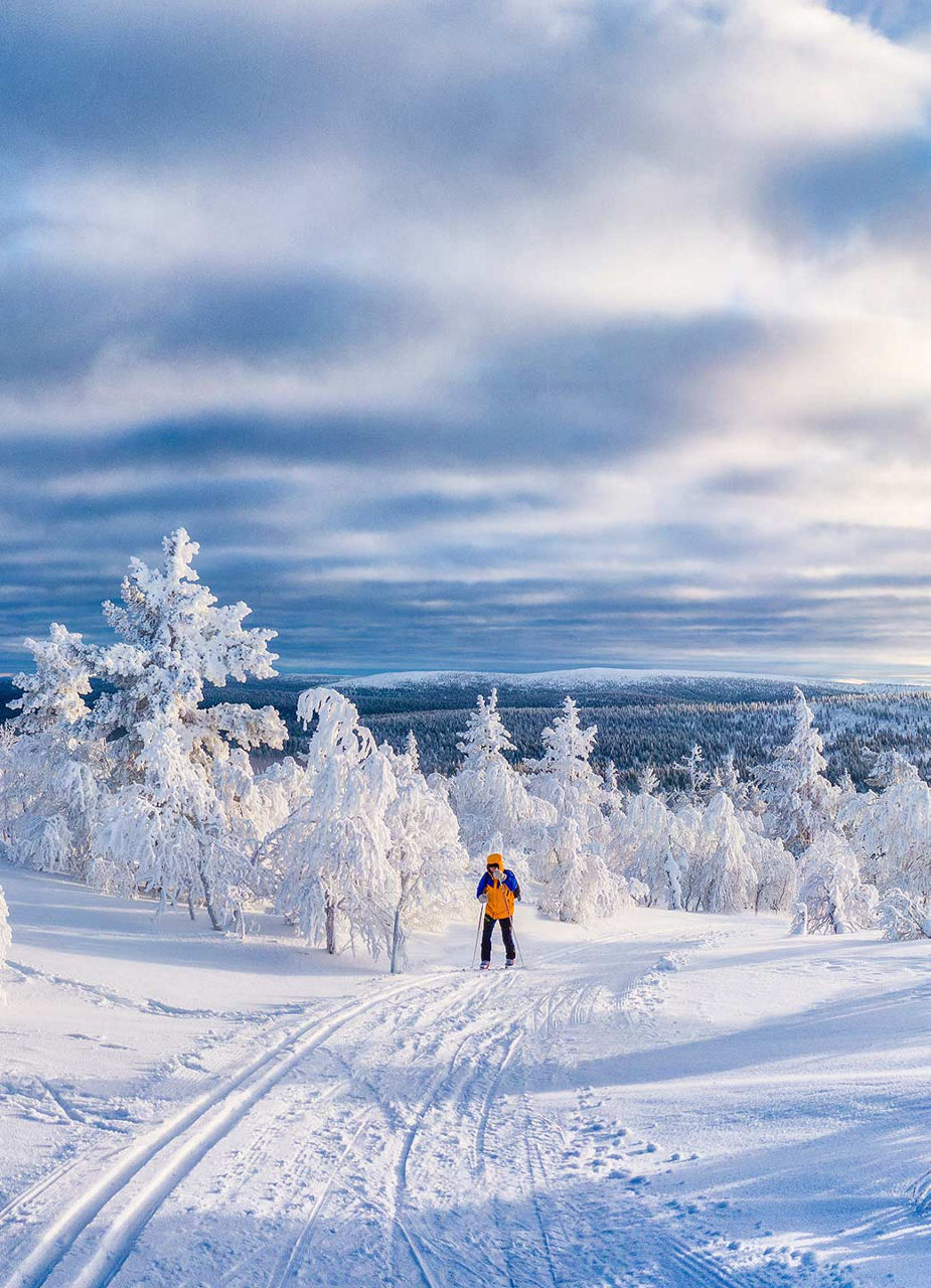 Man doing cross country skiing