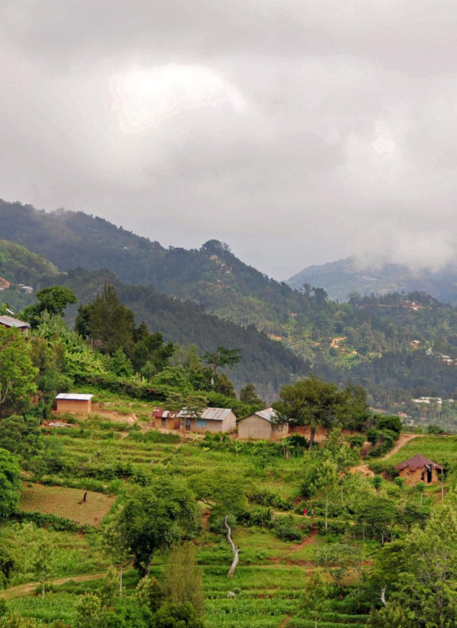 Village of Chagga Tribe, Kilimanjaro