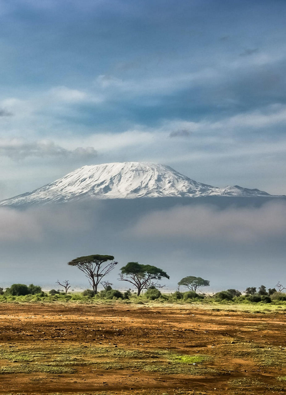 Kilimanjaro