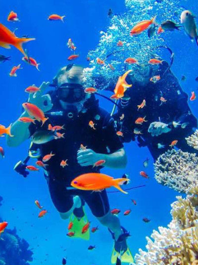 Diving in Skiathos