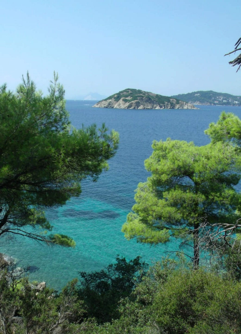 Skiathos Nature