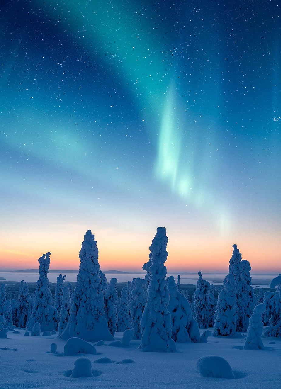 Northern lights in winter wonderland