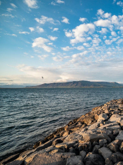 Reykjavík’s Coast