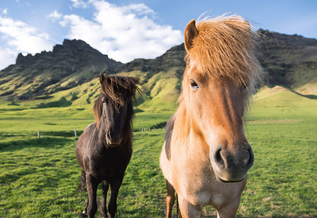 SliderStory_Iceland_6