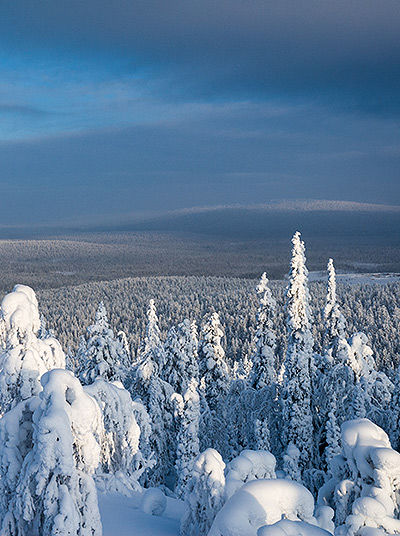 Verschneite Landschaft von Ylläs