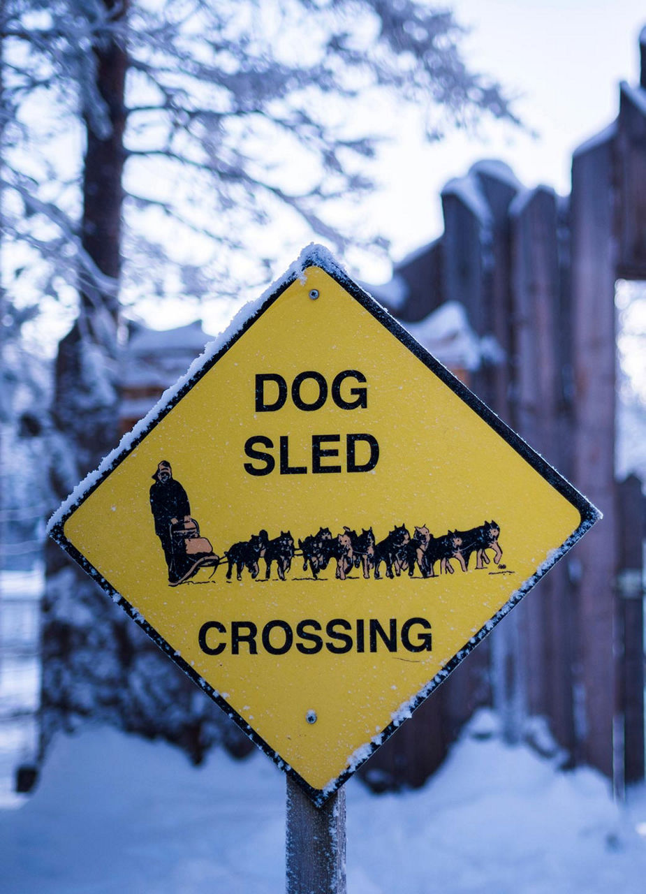 Schild “Dog sled crossing”