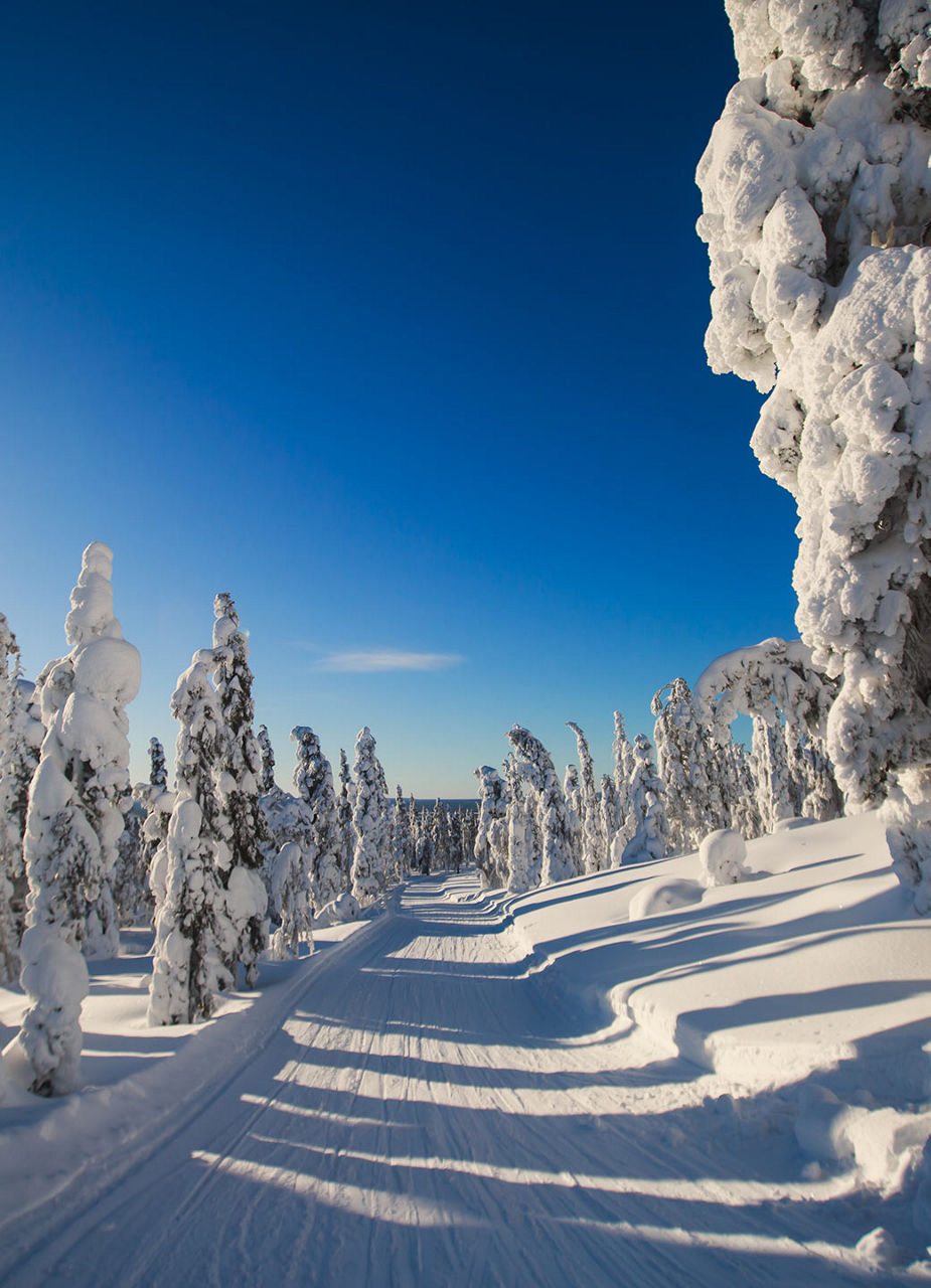 Winterlandschaft in Finnland