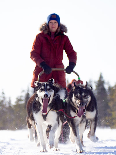 Huskyschlitten bei der Fahrt