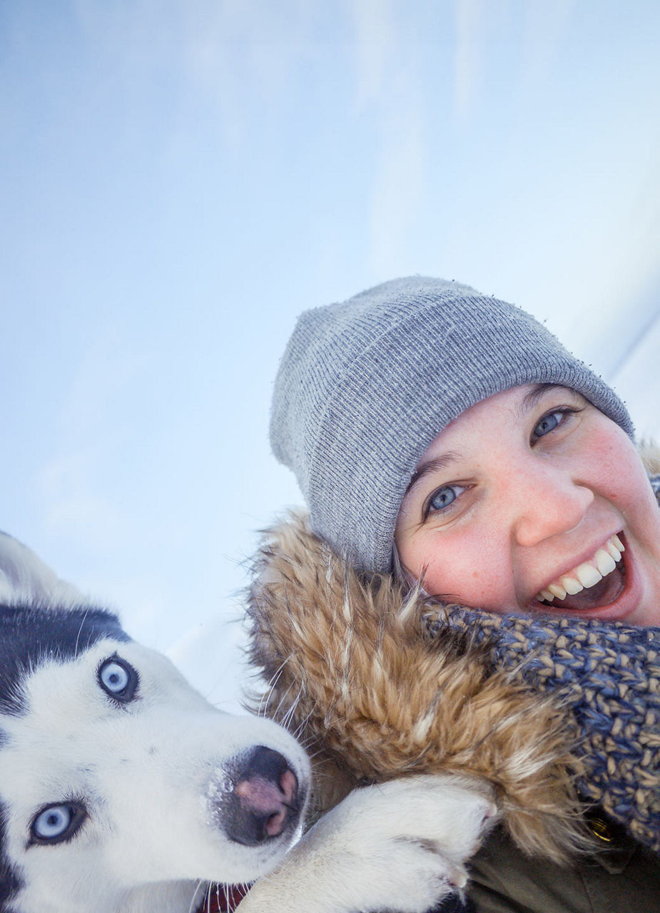 Zwei Huskys im Schnee