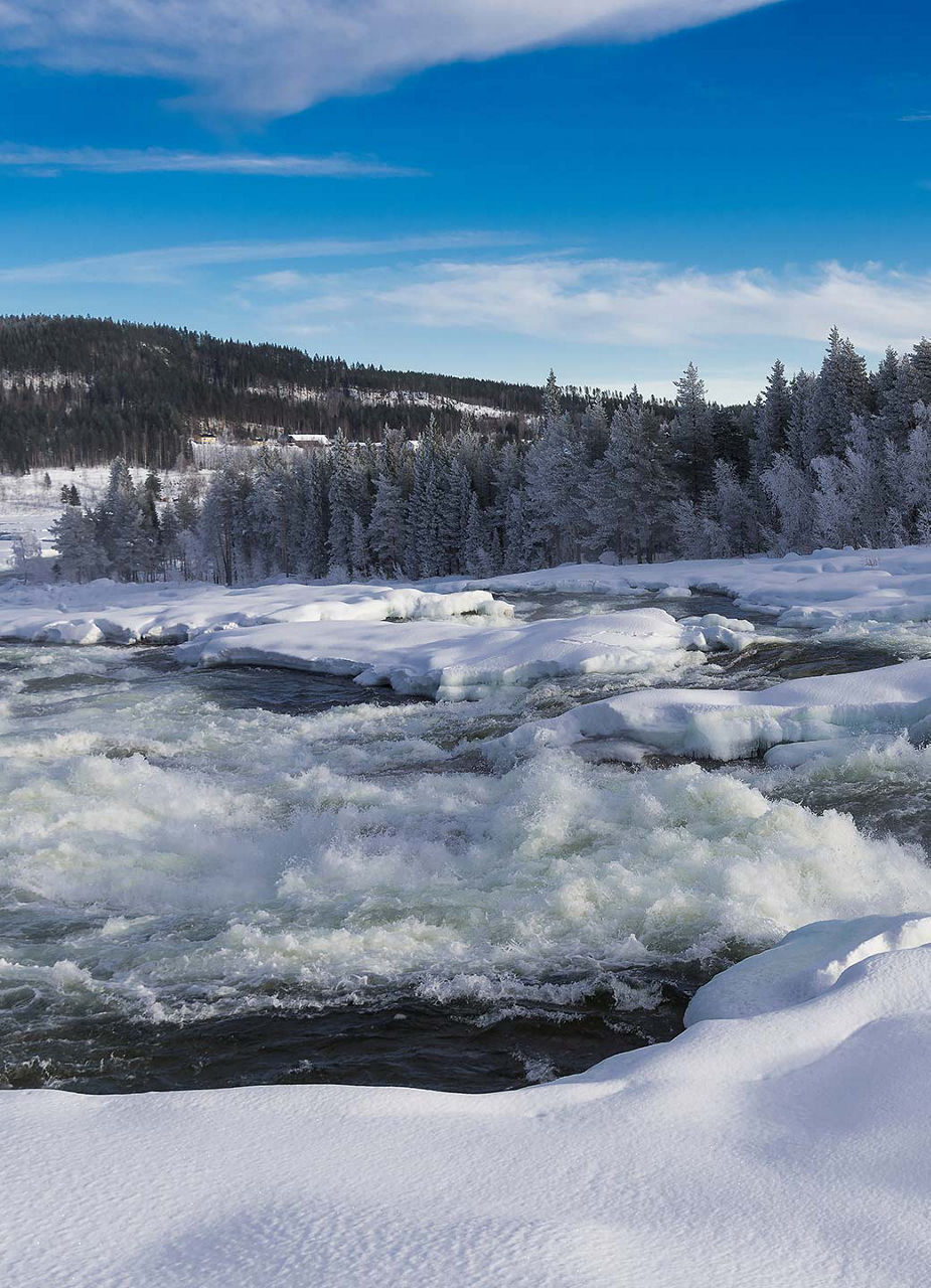 Storforsen in winter