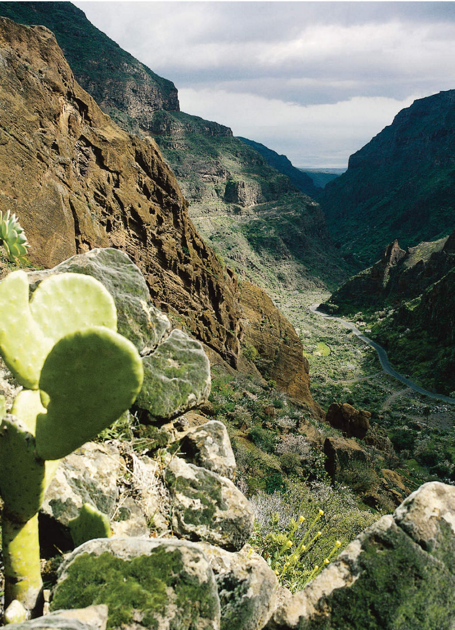 Barranco de Guayadeque Gorge