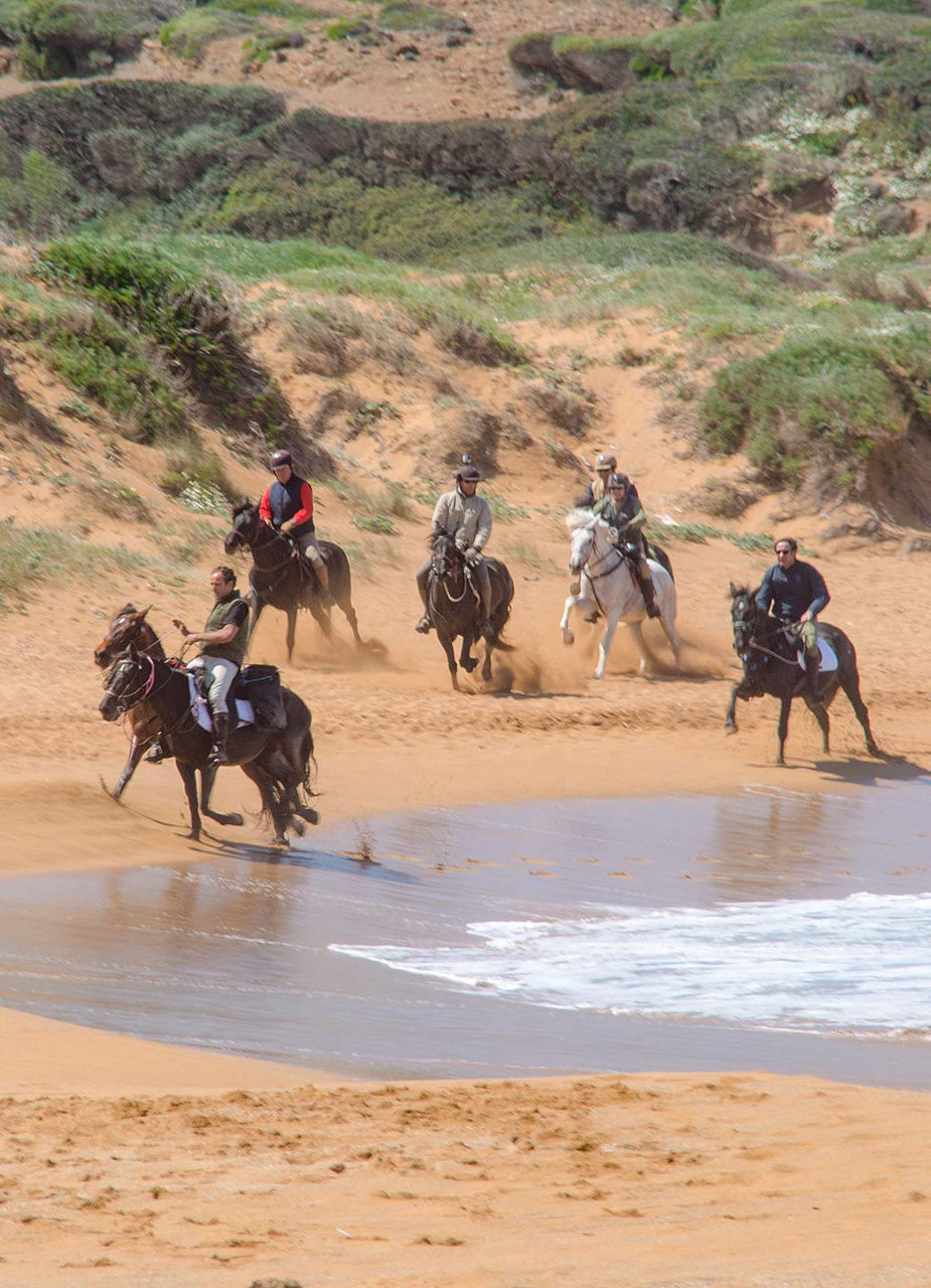 Horseback riding on the beach