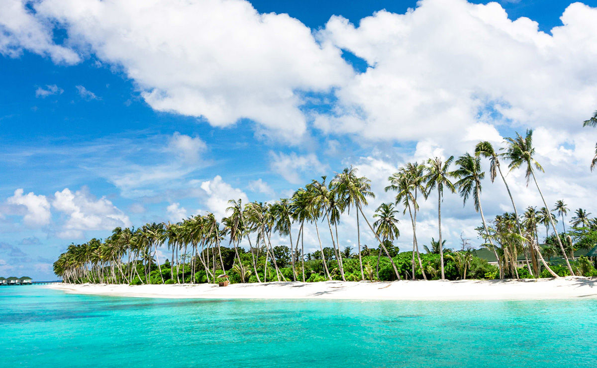 Weisser Strand mit Palmen auf den Malediven