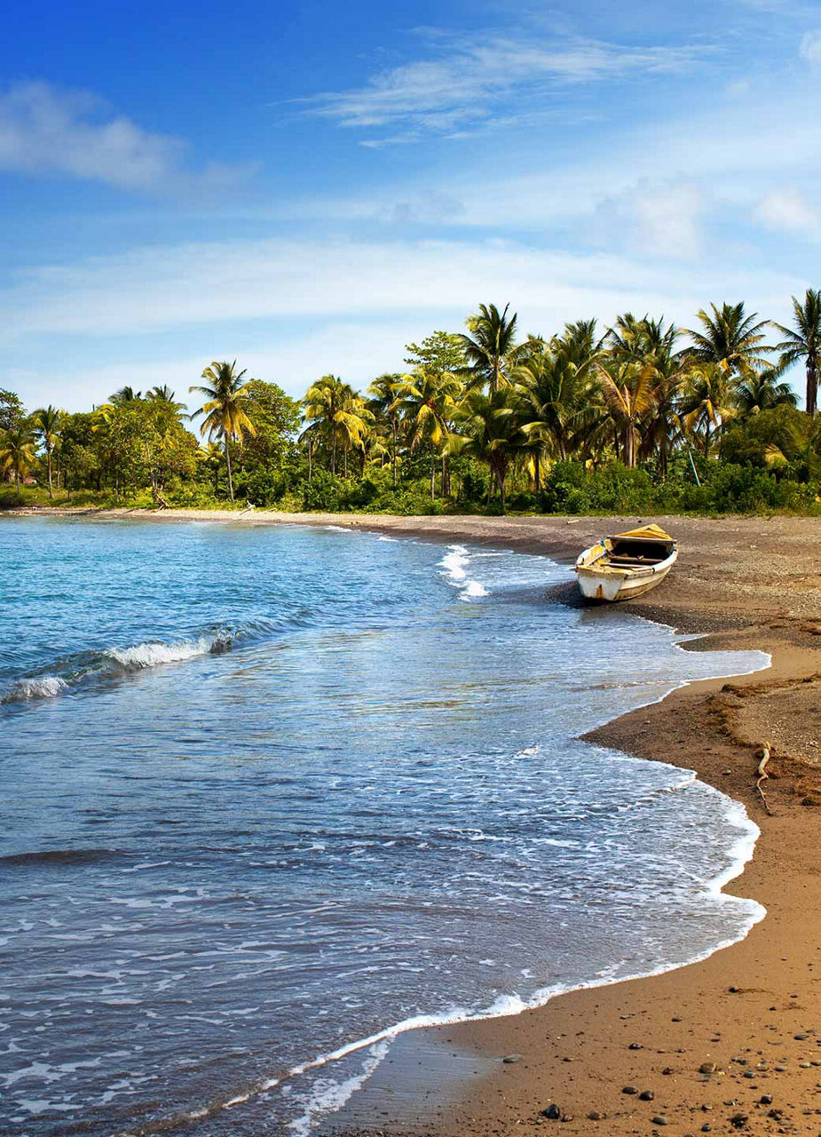 Strand mit Palmen und einem Boot