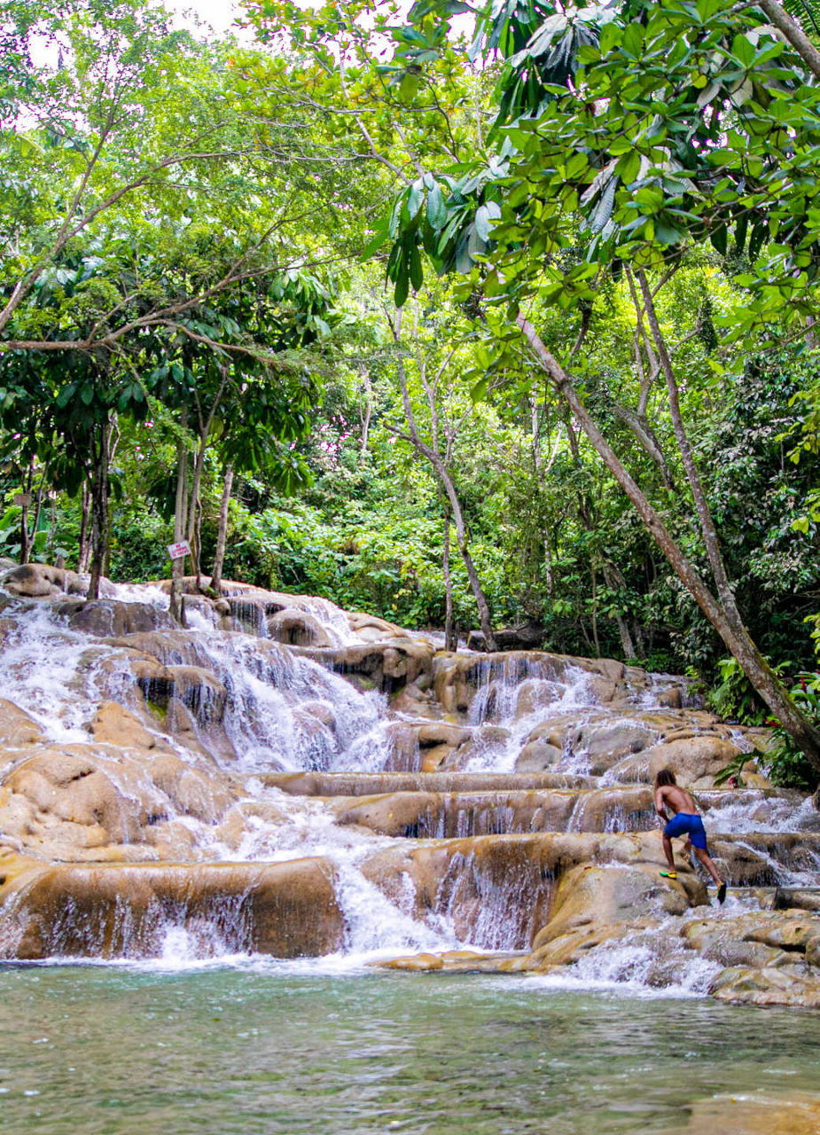 Dunn’s River Falls