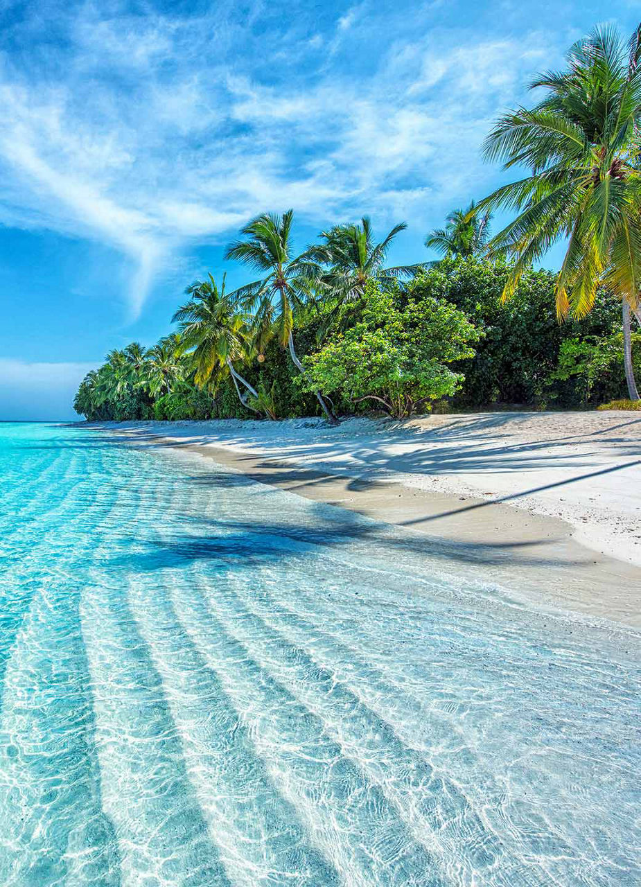 Beach in the Maldives