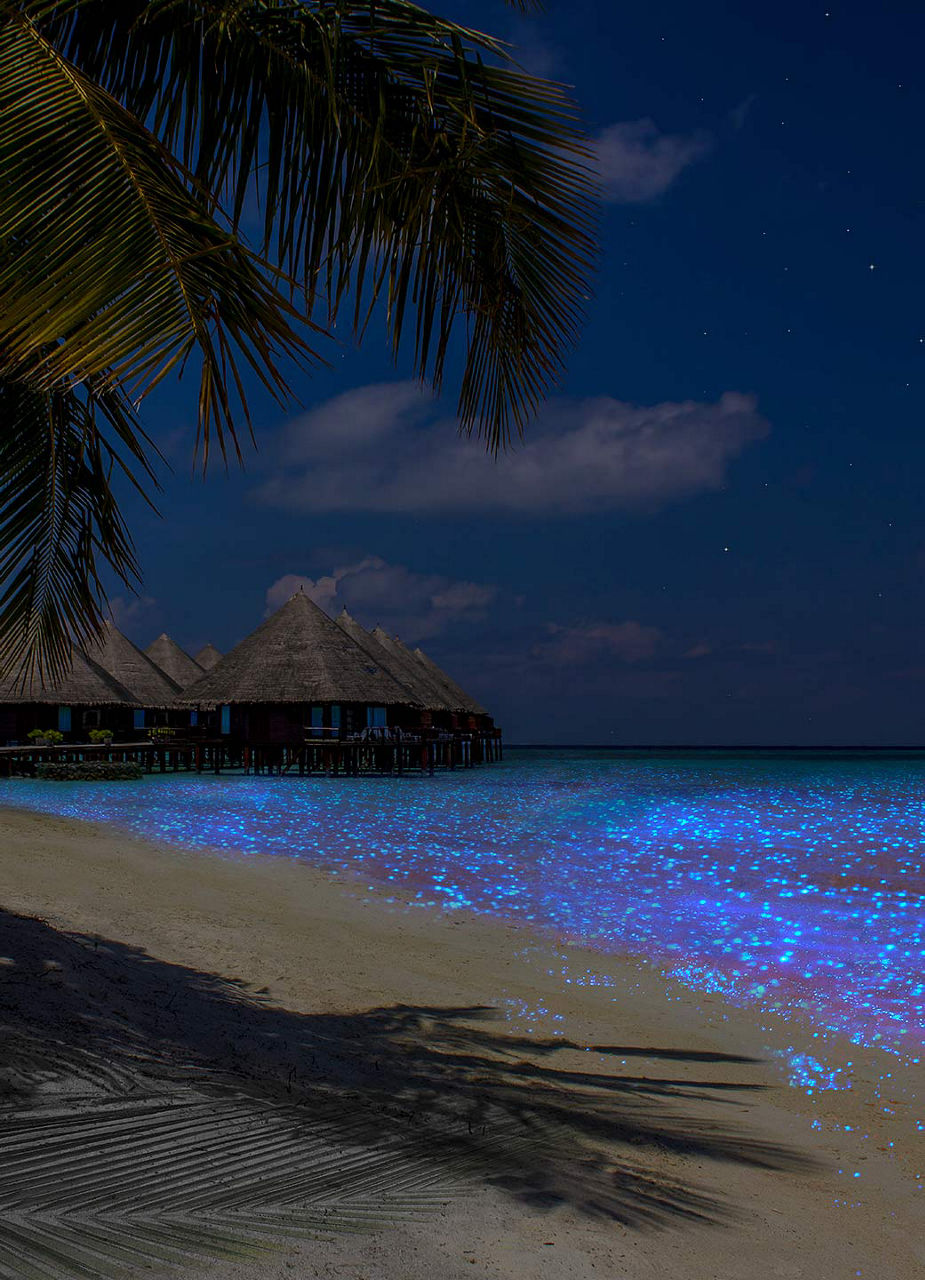 Mudhdhoo beach by night