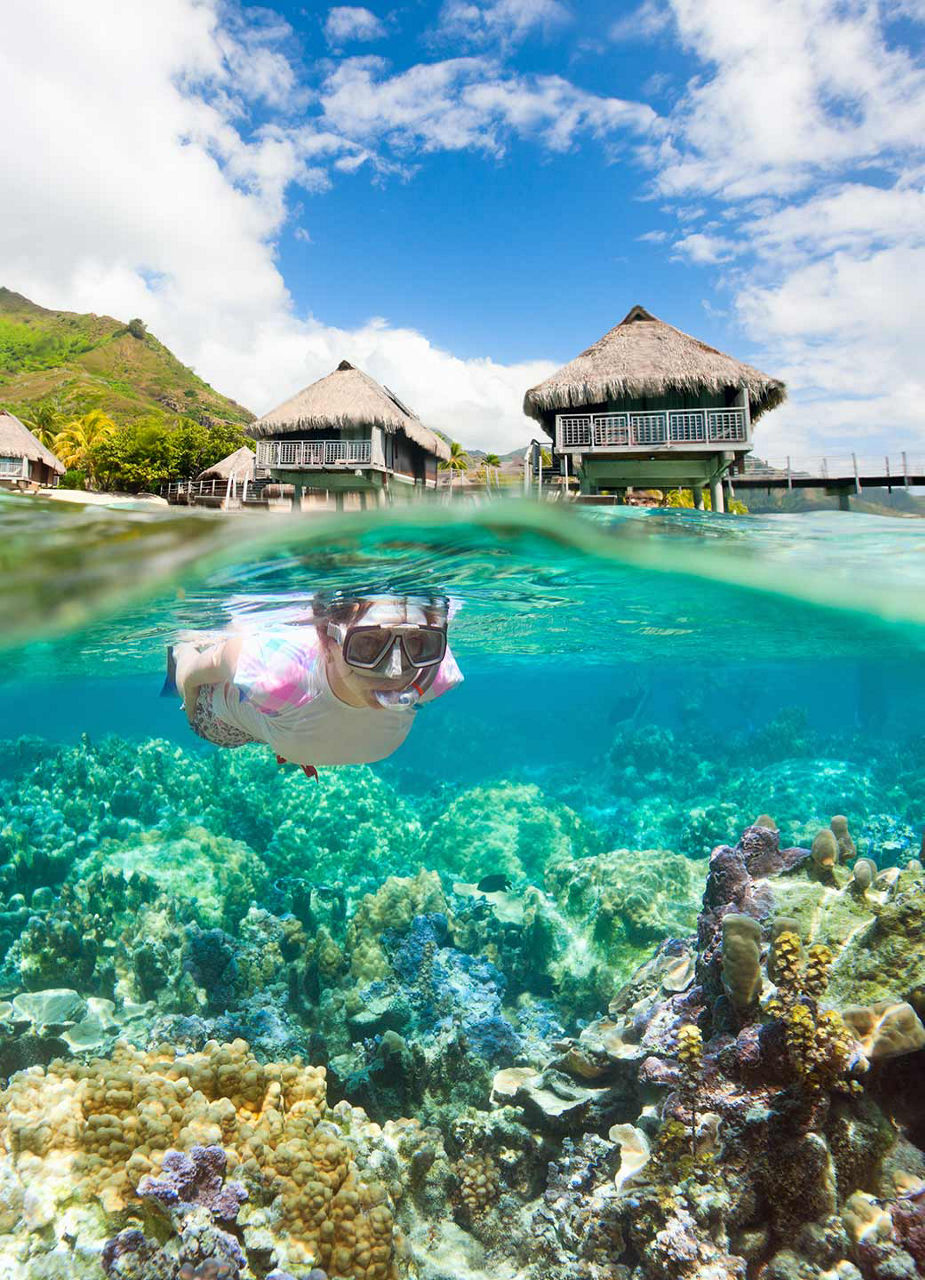 Maldives Snorkelling