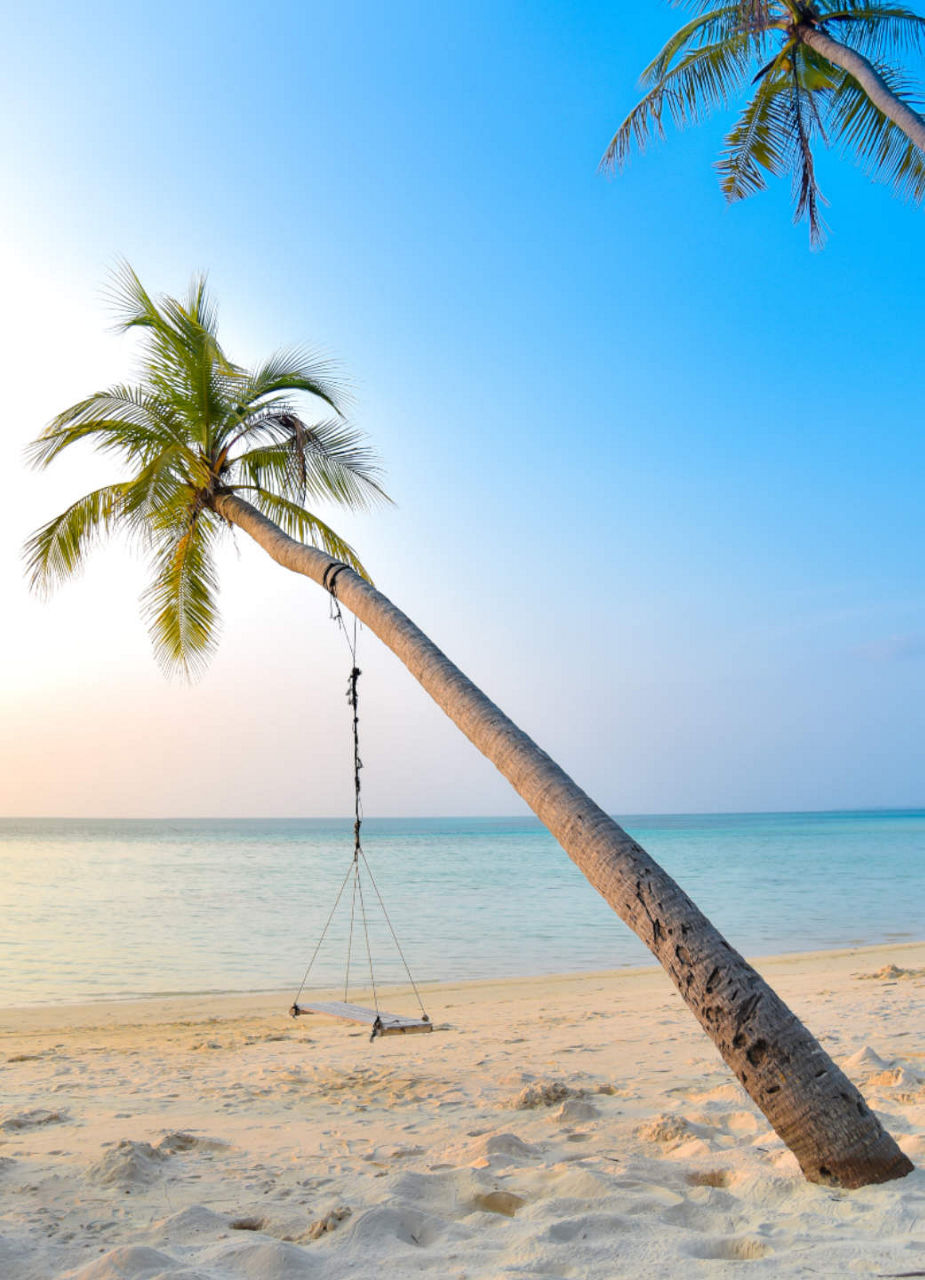 Swing at the Beach