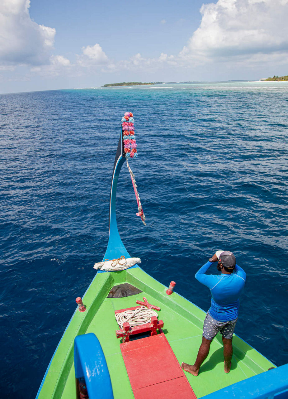 Man looking out for whaleshark