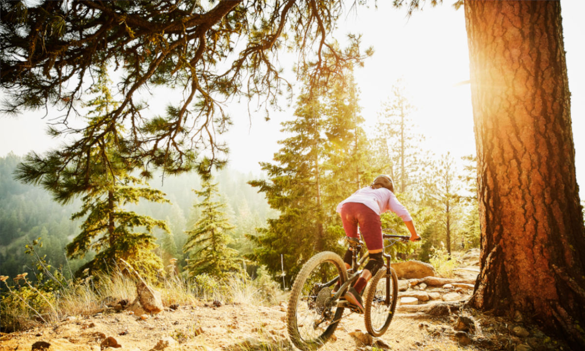 Rennvelo Edinburgh Wald Sonne