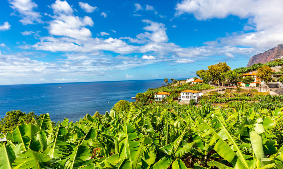 Rennvelofahrer Levadas Aussicht Natur und Meer