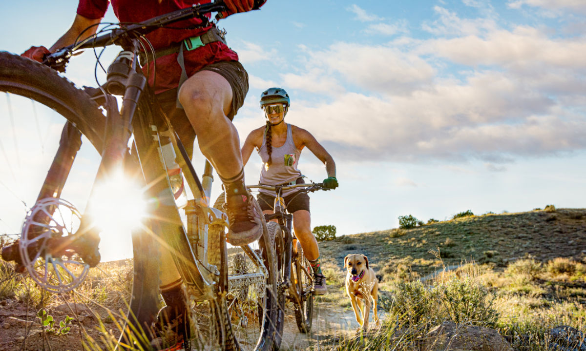 Rennvelo Fahrer Sonnenuntergang Natur 