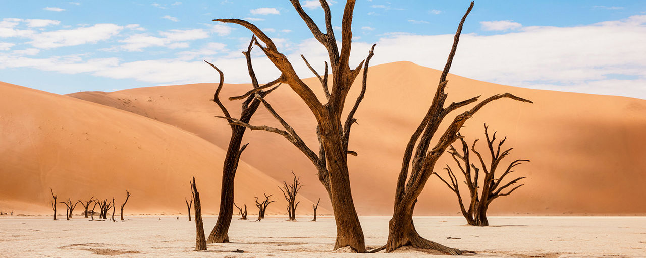 Deadvlei, Namibia