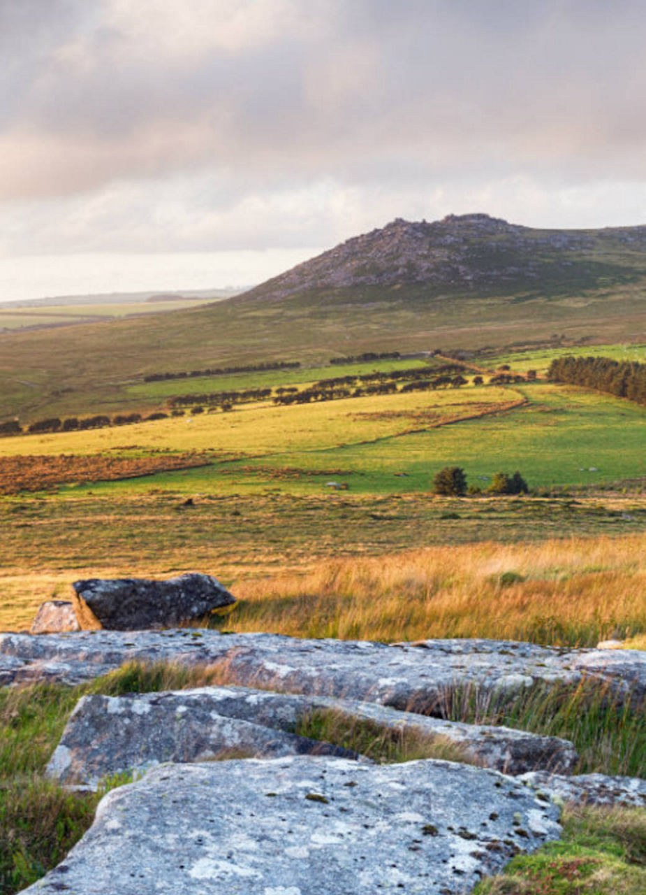 Bodmin Moor