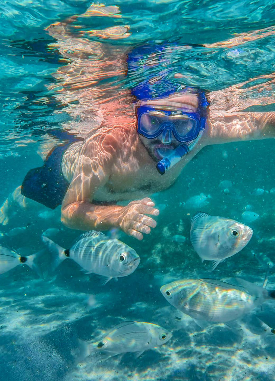Schnorchler mit Fischen