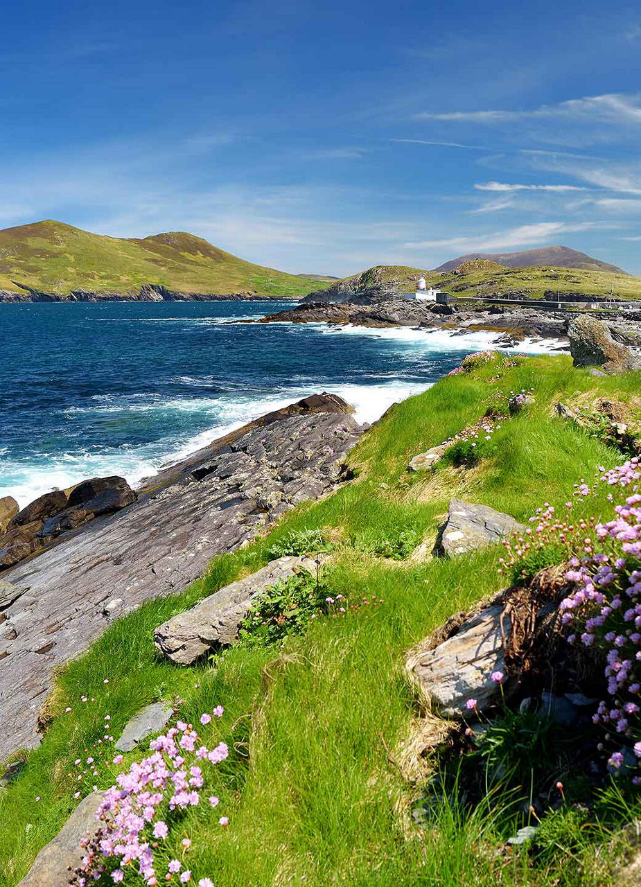 Irish Landscape