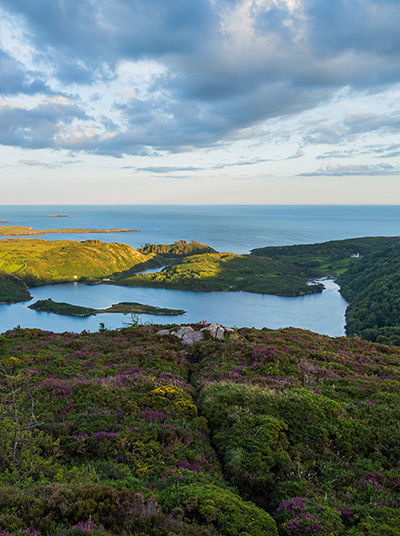 Landscape around Cork