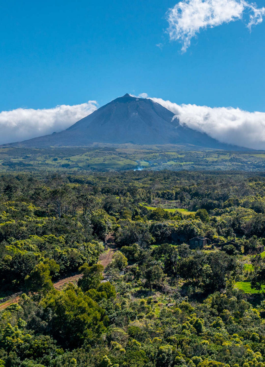 Pico Mountain