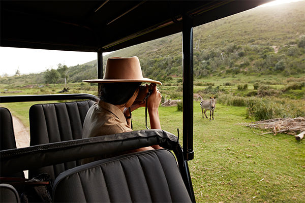 Frau macht ein Foto auf einer Safari