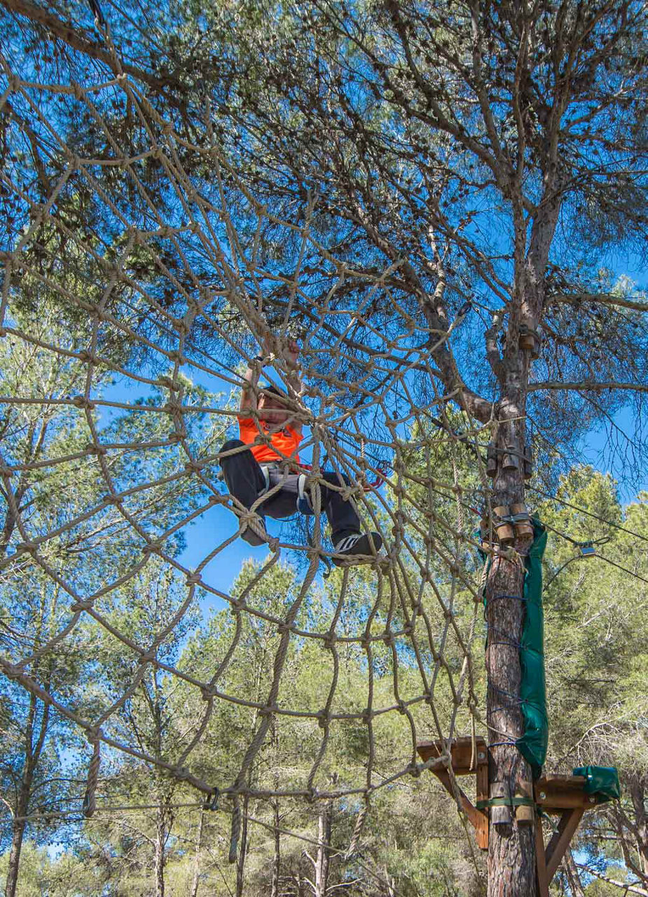 Climbing park