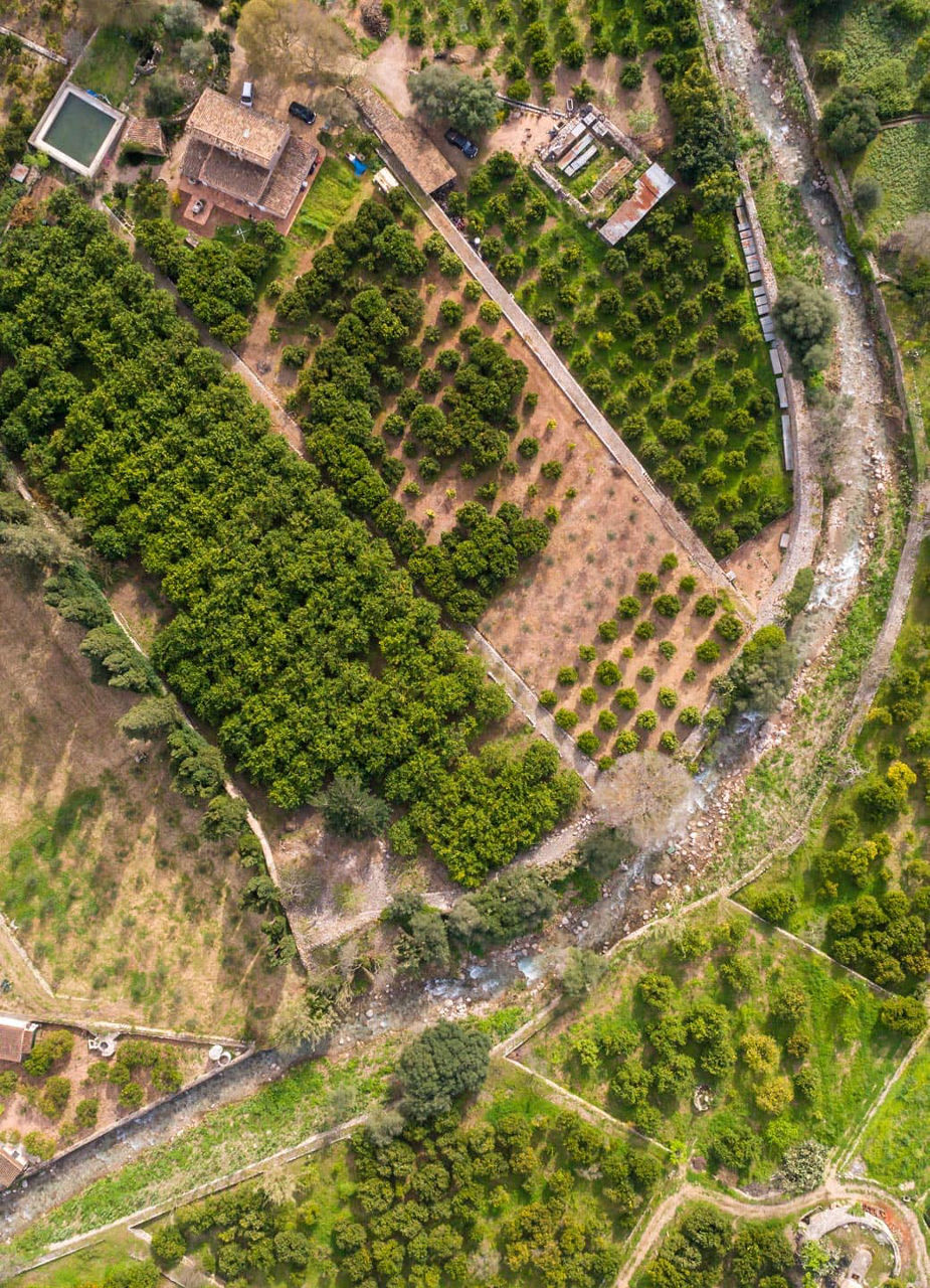 Aerial view of farm