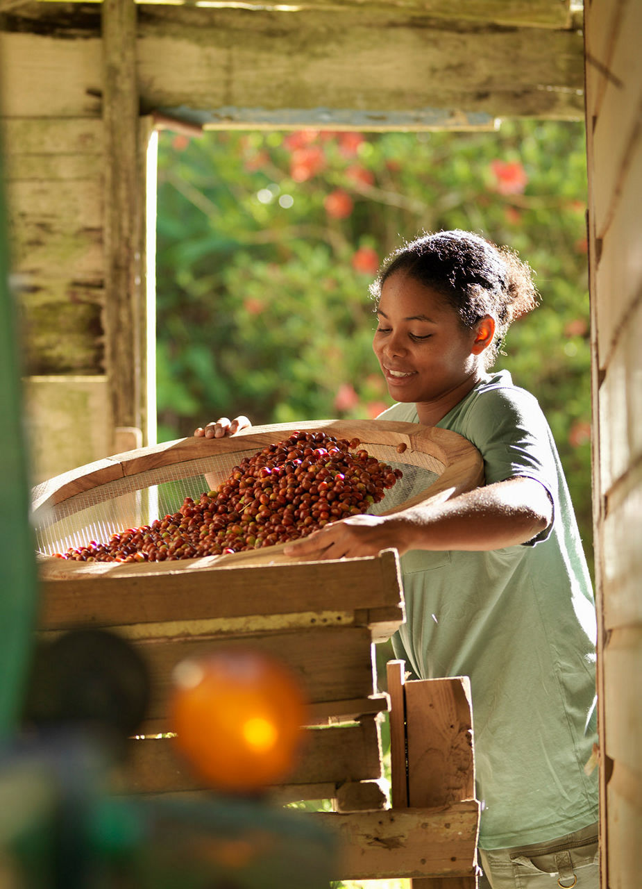 Woman Roasting Coffee Beans