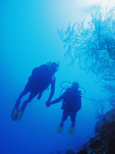 Two Divers