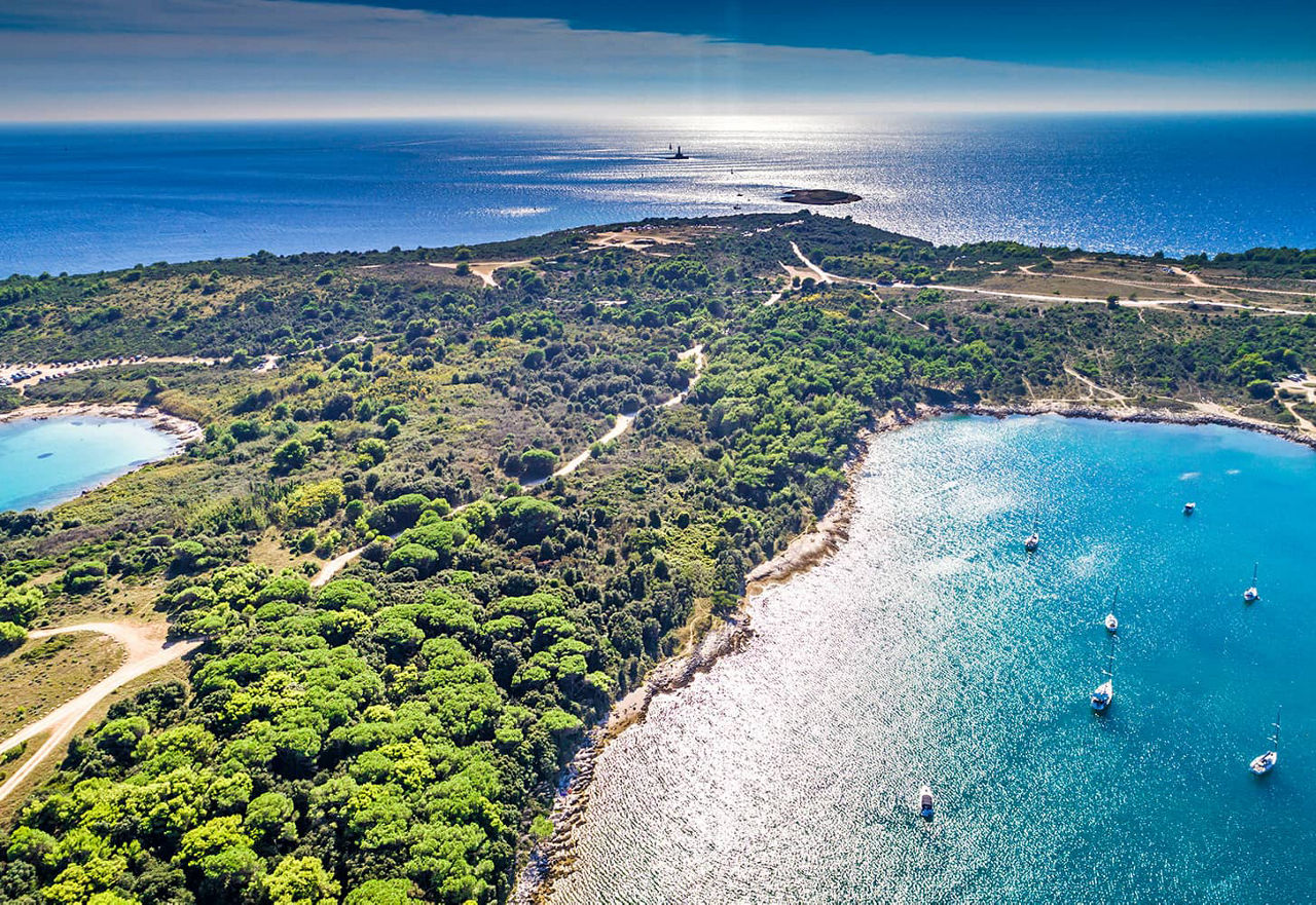 Île de Gaz dans l’archipel de Brijuni, Croatie